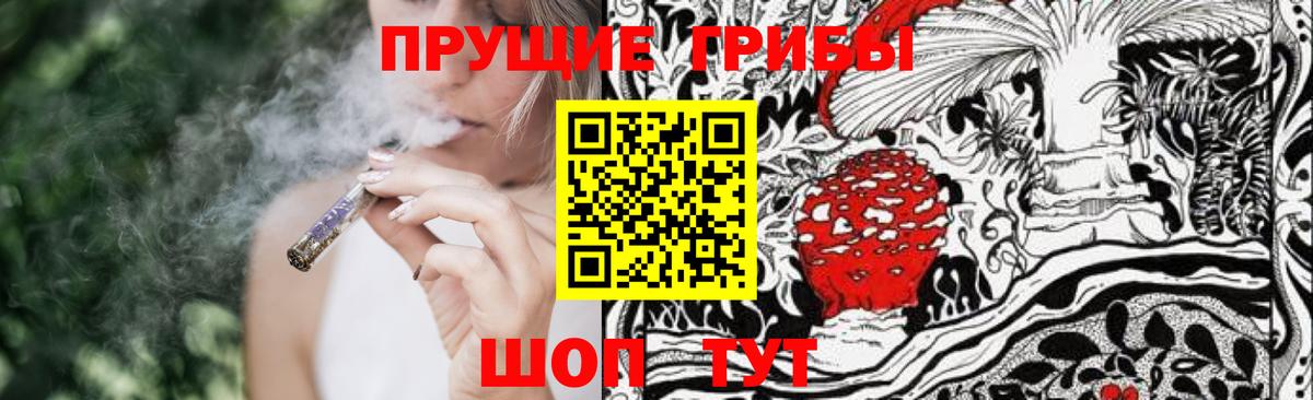 Рассказово  Галлюциногенные грибы прущие грибы  Вход с VPN 
