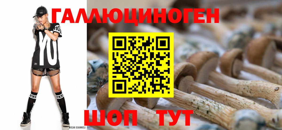 Галлюциногенные грибы прущие грибы Рассказово